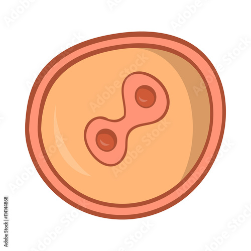 Fertilized egg icon, cartoon style
