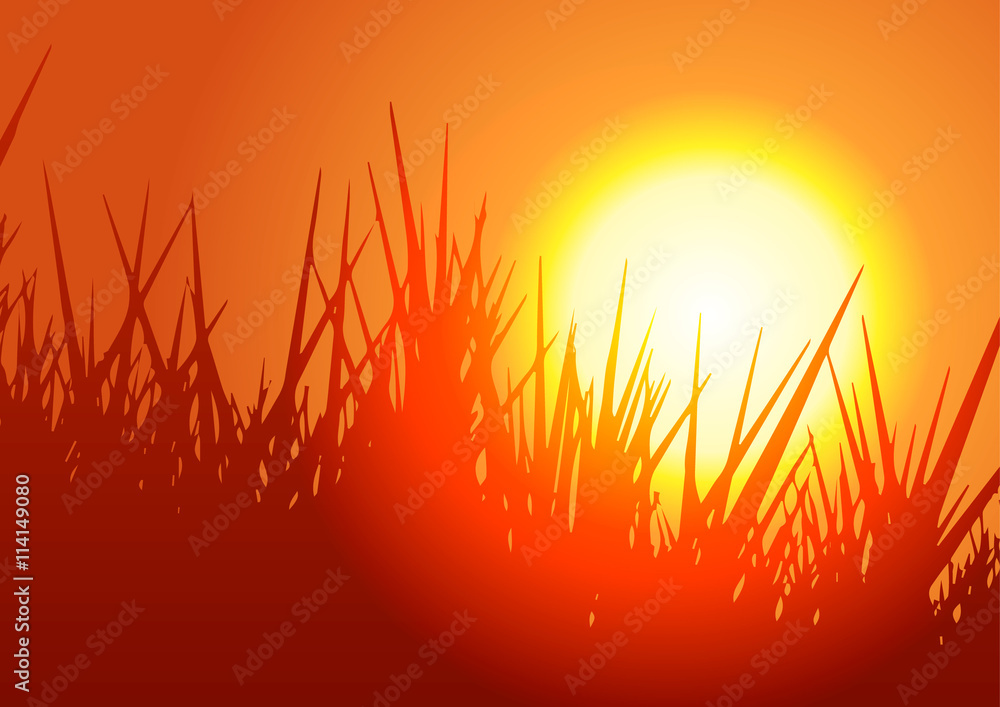 Vector Illustration. Meadow with grass at sunset.