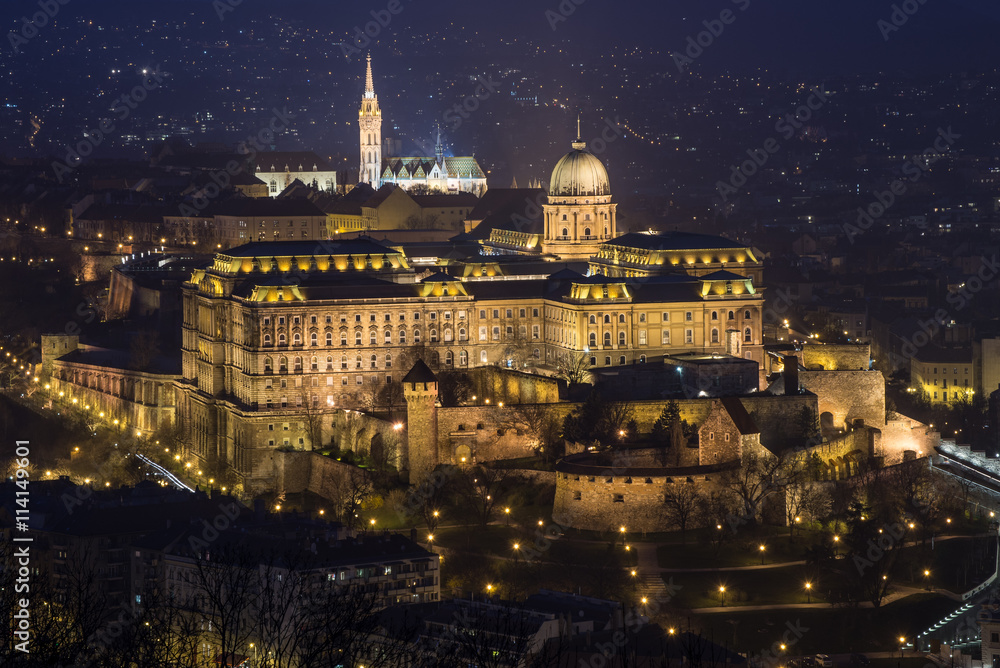 Fototapeta premium Castle of Budapest