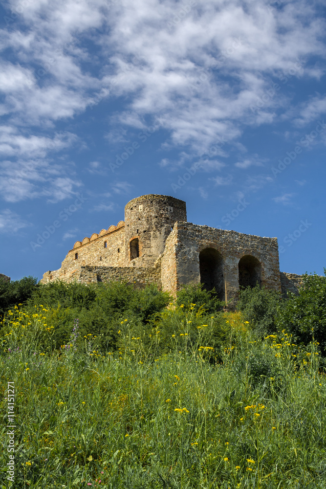Devin castle in Slovakia