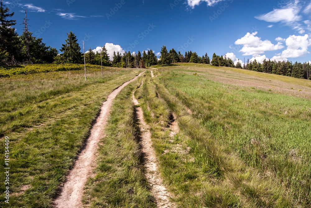 Obraz premium hiking trail on mountain meadow named Hala na Malej Raczy in Beskid Zywiecki mountains