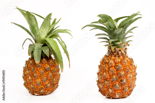 Pineapples on white background.
