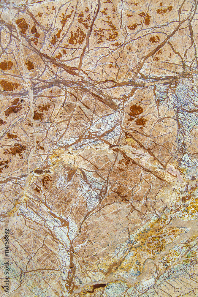 Obraz premium Marble close up view
