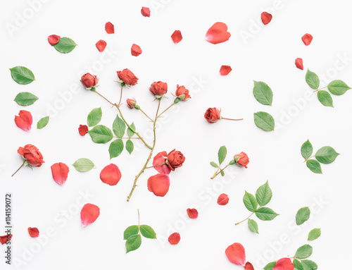 Red roses and green leaves