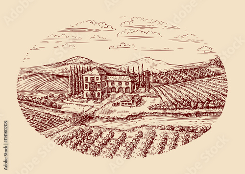 Italy. Italian rural landscape. Hand drawn sketch vintage vineyard, farm, agriculture, farming