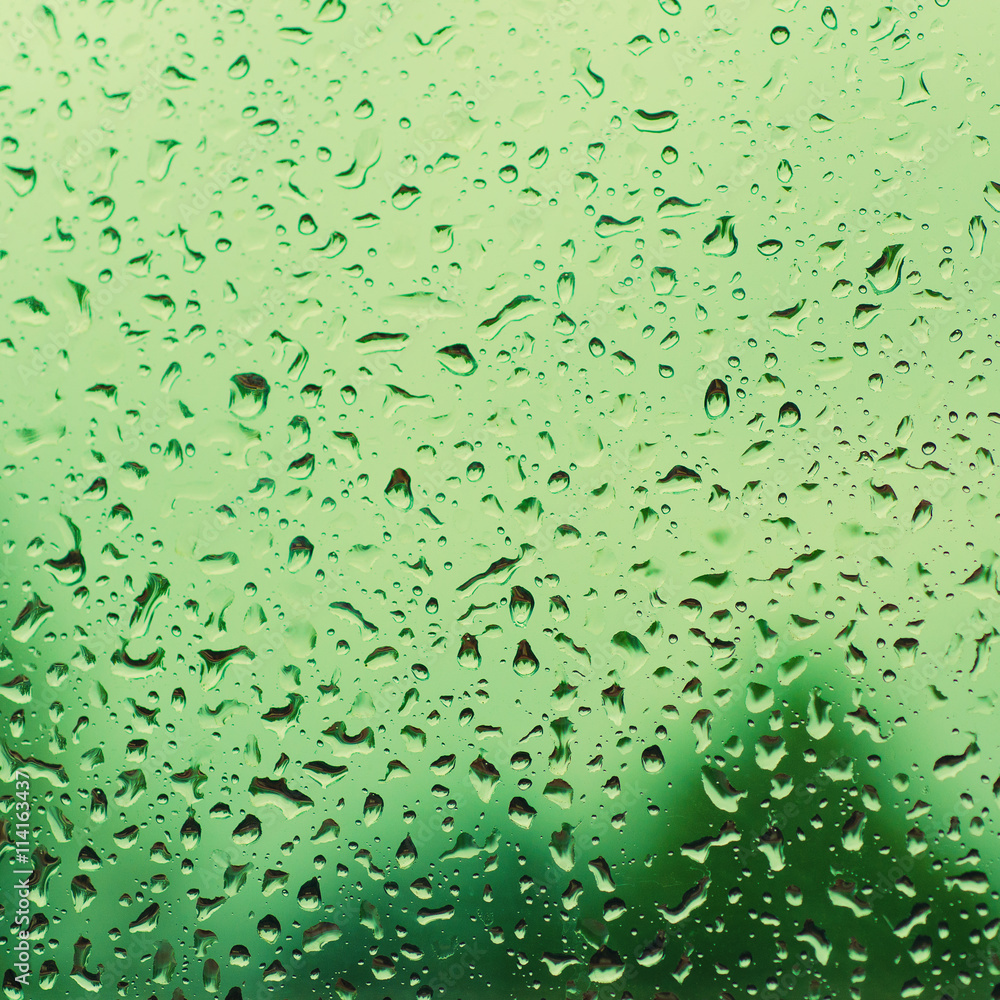Rainy wet green eco seasonal summer natural blurred background with water drops Rainy wet green eco seasonal summer natural blurred background with water drops