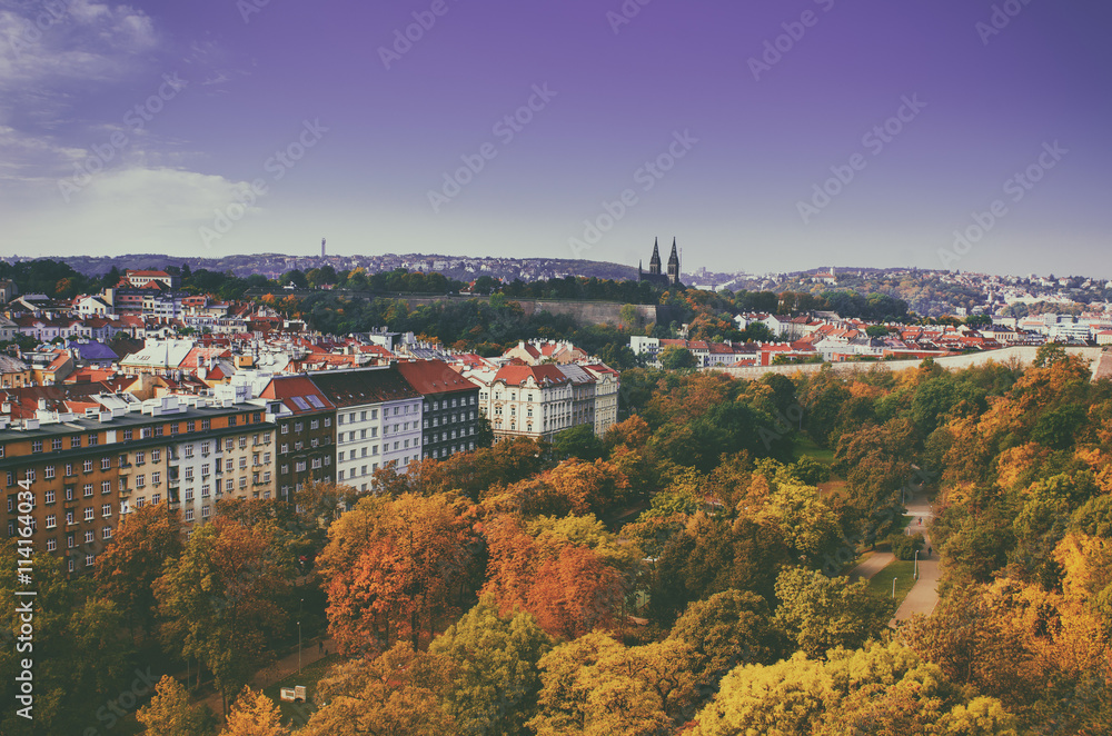 View to the Vysegrad in Prague, Czech Republic at autumn with cathedral and red roofs, travel seasonal vintage hipster background