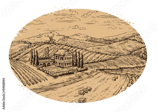 Vineyard landscape. Retro label. Hand drawn vector vintage farm, agriculture