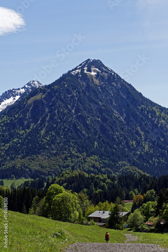 mountain landscape in spring