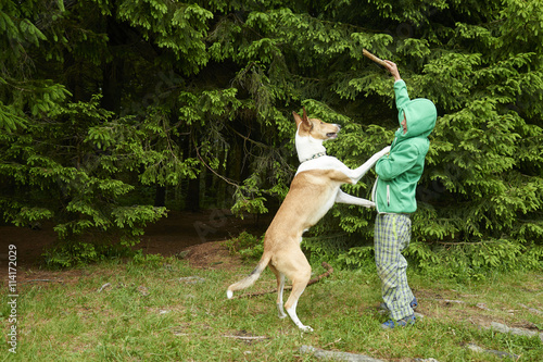 Young boy outdoors playing and throwing stick for dog in the forest