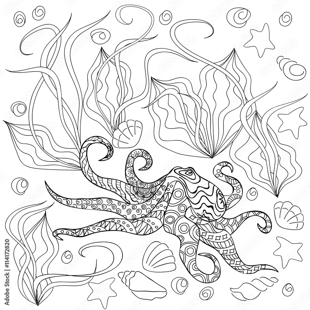 octopus with seashells octopus with seashells