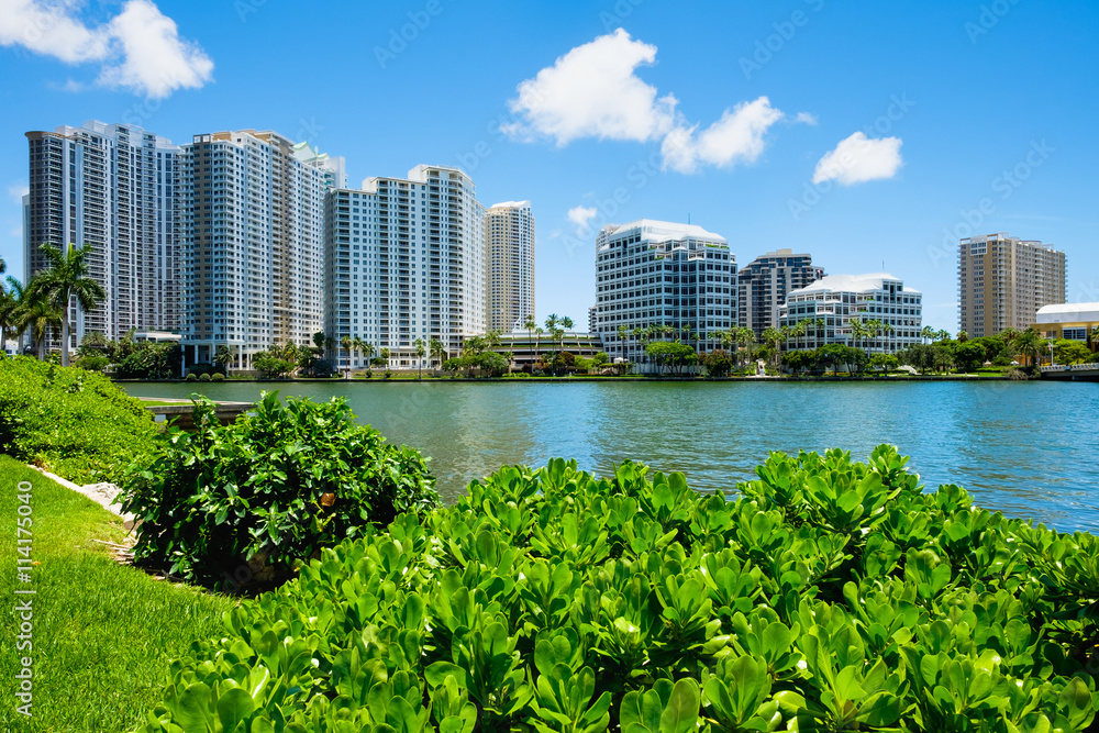 Downtown Miami Cityscape Downtown Miami Cityscape