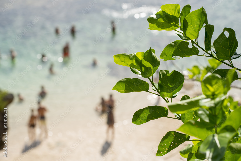 Obraz premium Blur background of people on beach with green leaf