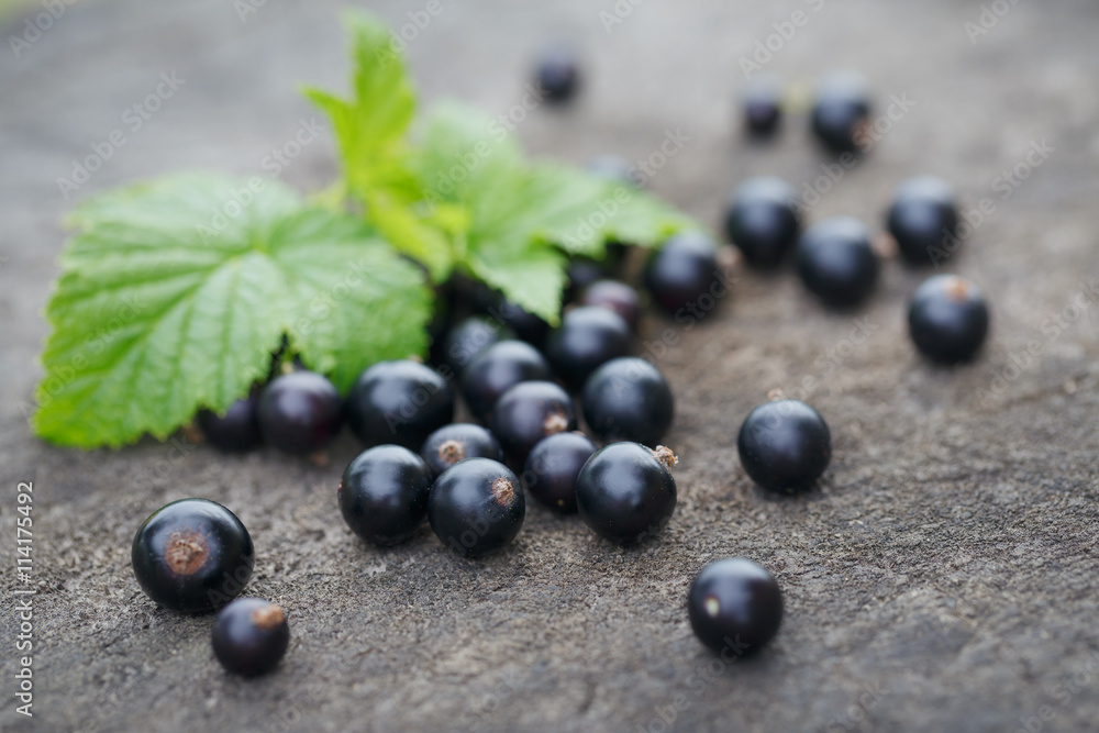 Black currant on wooden table with leaf sprig Black currant on wooden table with leaf sprig