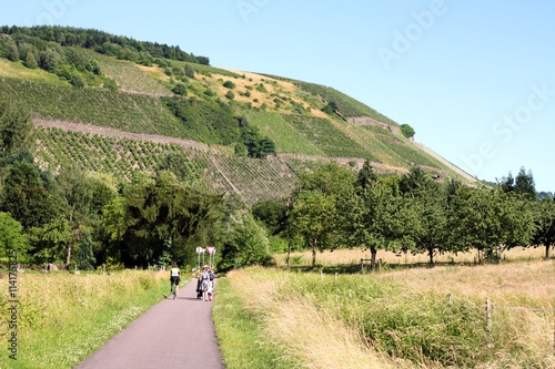 Ruwertalradweg bei Kasel