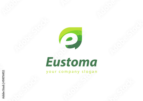 letter E logo Template for your company