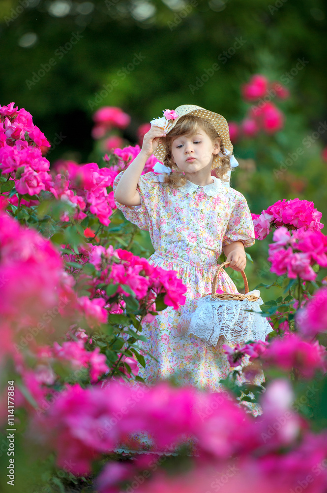 beautiful girl on a meadow with roses  looks into flowers