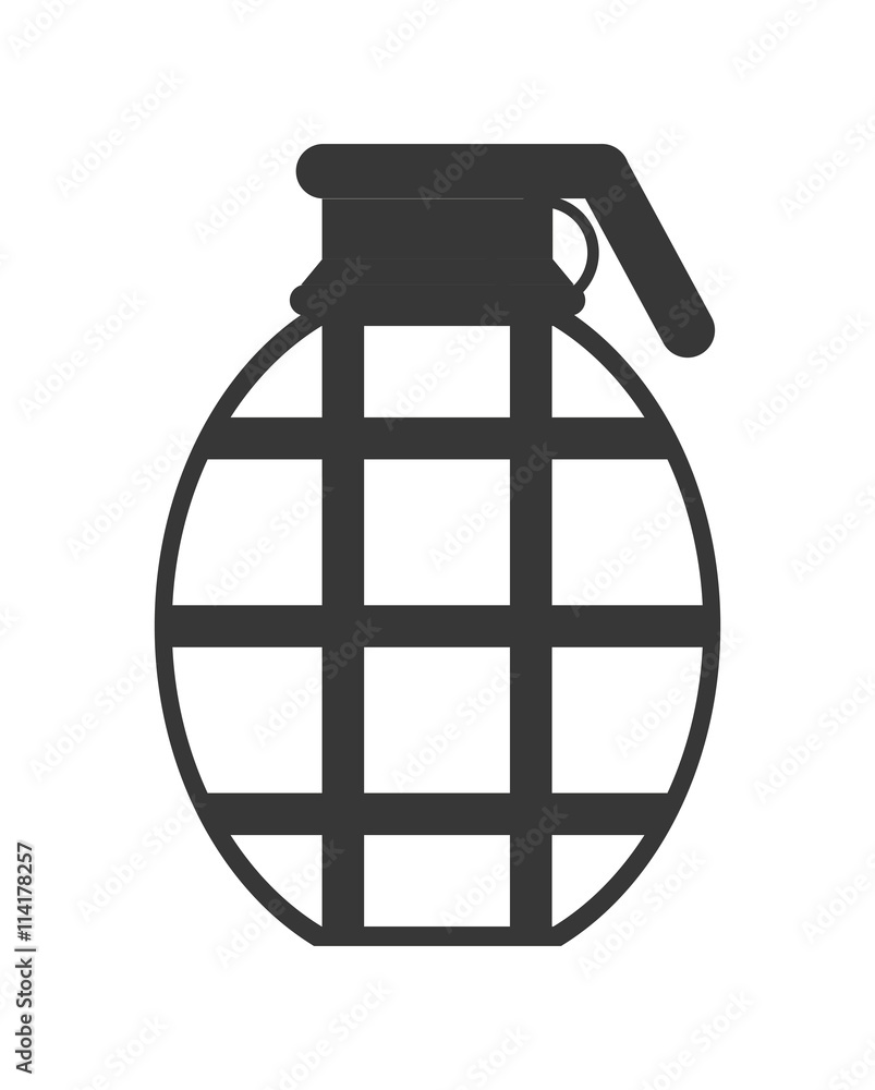 grenade icon. Armed forces. vector graphic grenade icon. Armed forces. vector graphic
