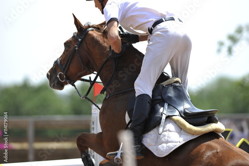 The rider overcomes the obstacle on the horse jumping competition © PROMA