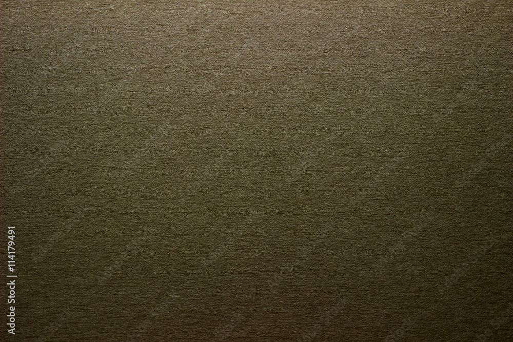 Fototapeta premium Brown textured background