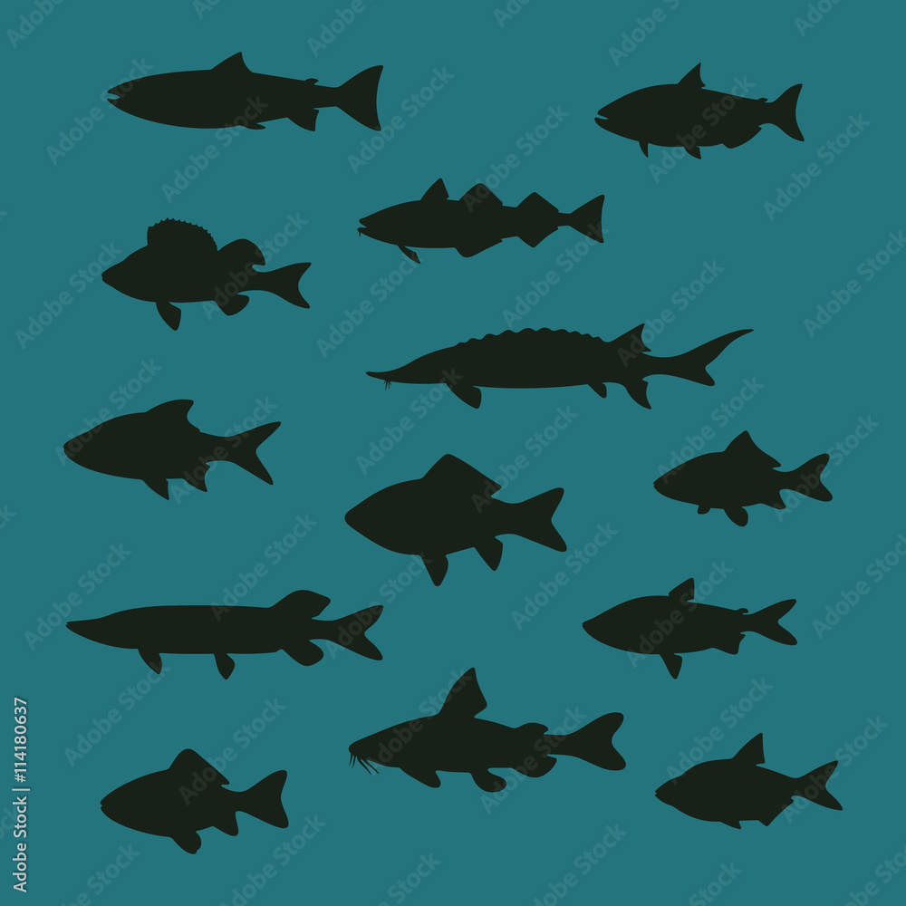 Fish Vector Flat Icons Set Fish Vector Flat Icons Set