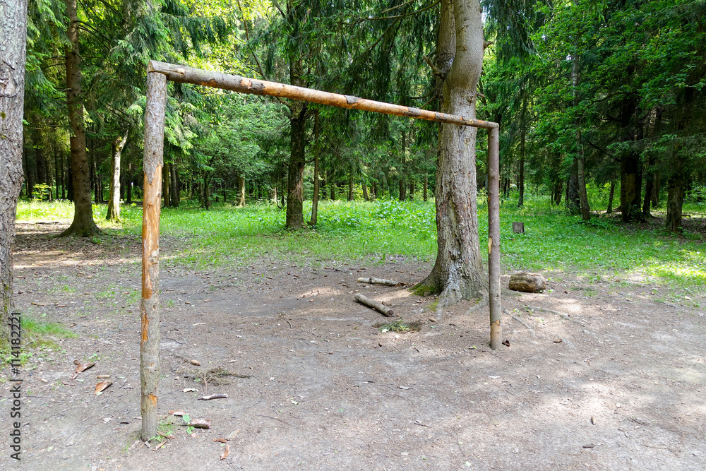 Fototapeta premium Football goal in the forest