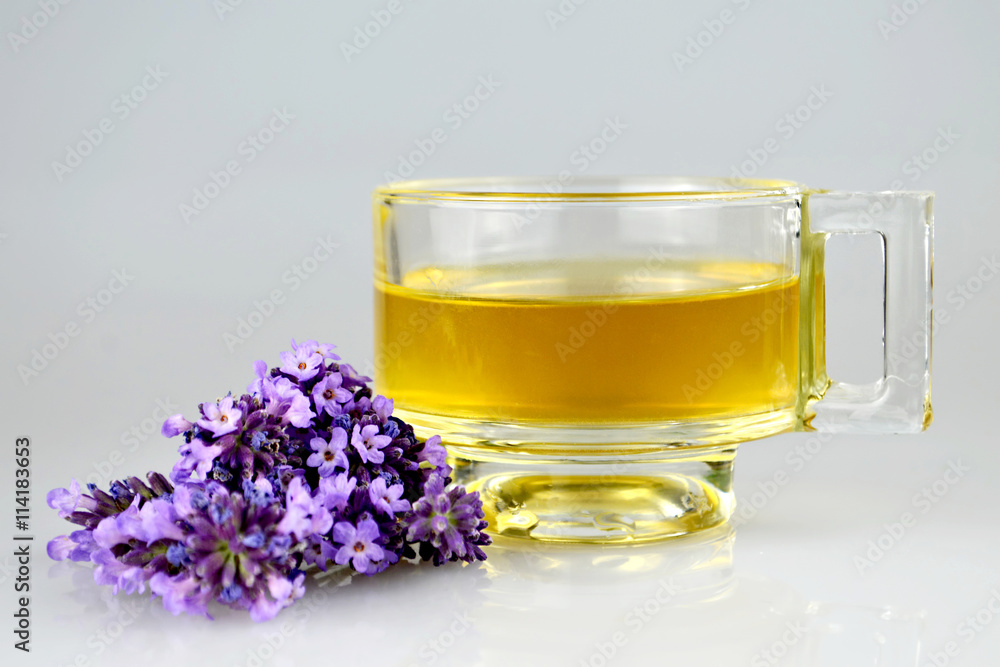 Fototapeta premium Cup of lavender tea