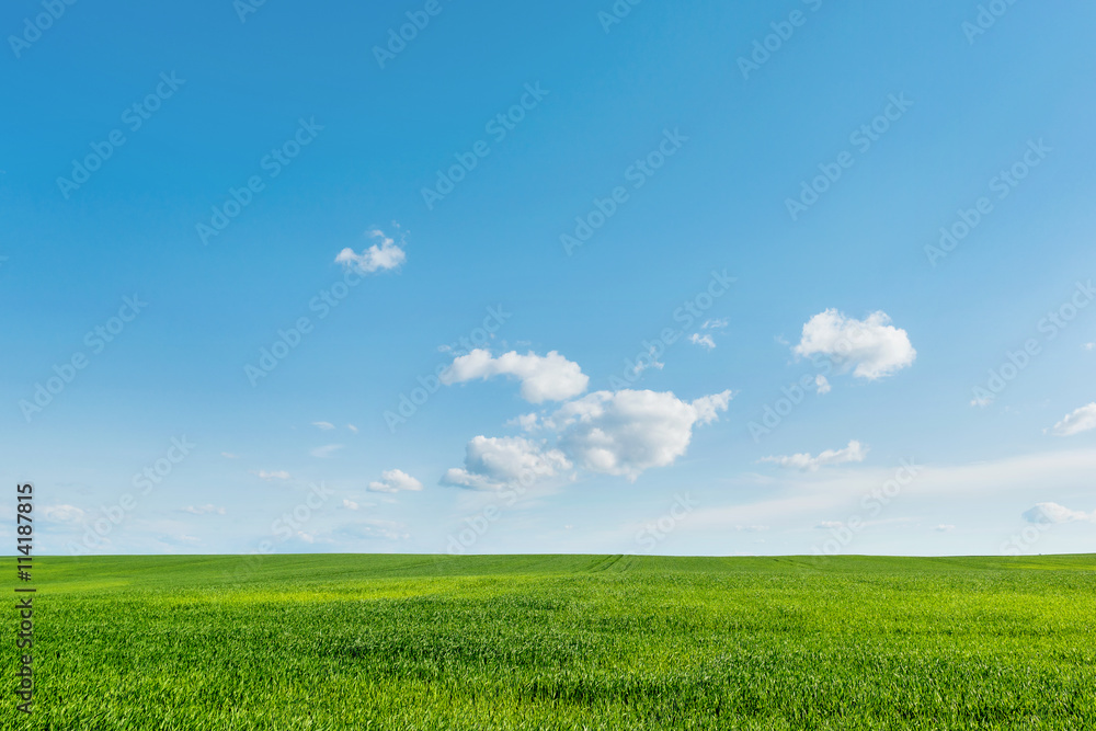 Countryside field natural background. Green grass and blue sky. Countryside field natural background. Green grass and blue sky.