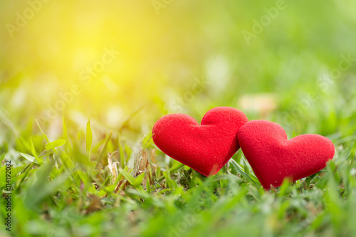 Red valentine hearts on green grass background. vintage filter