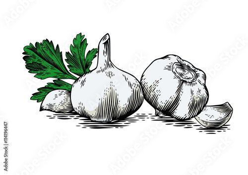 Garlic's heads, cloves and fresh parsley