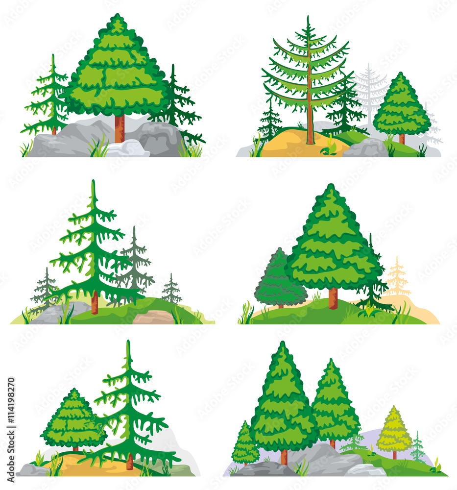 Obraz premium Landscapes with coniferous trees, grass and stones. Vector landscape nature with tree and plant. Forest landscape illustration of set
