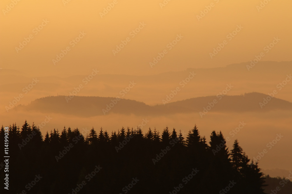 Forested hills in early morning mist Forested hills in early morning mist