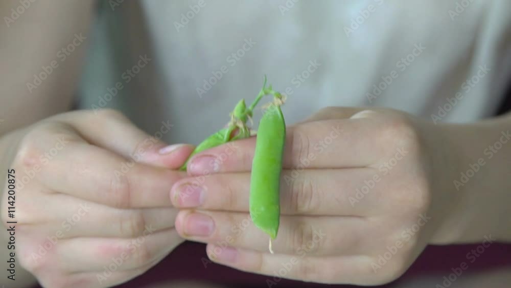 Hands shelling green pea. Slow motion Hands shelling green pea. Slow motion