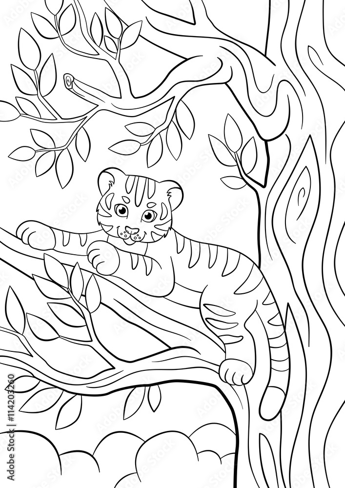 Coloring pages. Wild animals. Little cute baby tiger lays and smiles.