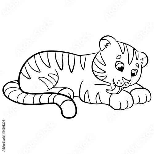 Coloring pages. Wild animals. Little cute baby tiger cleans himself.