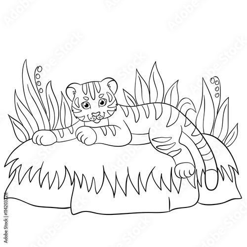 Fototapeta Naklejka Na Ścianę i Meble -  Coloring pages. Wild animals. Little cute baby tiger smiles.