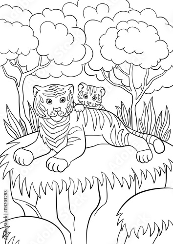 Fototapeta Naklejka Na Ścianę i Meble -  Coloring pages. Wild animals. Smiling mother tiger with her little cute baby tiger.