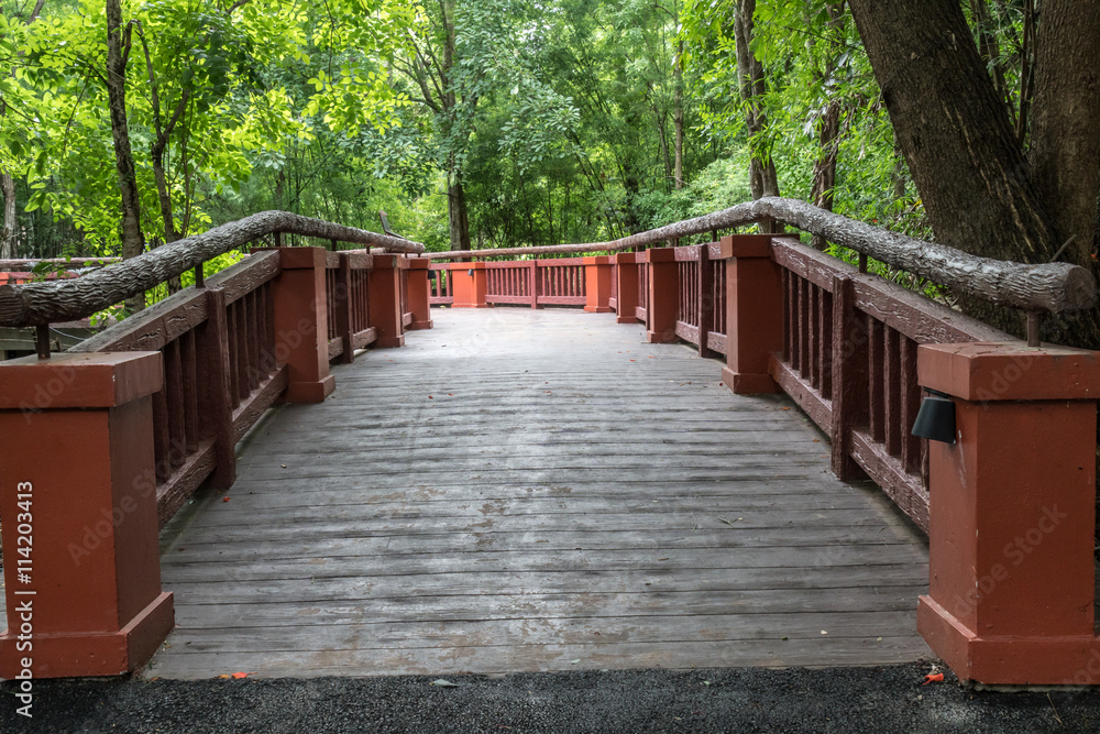 Obraz premium Long bridge in garden