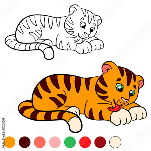 Fototapeta Naklejka Na Ścianę i Meble -  Coloring page. Color me: tiger. Little cute baby tiger.