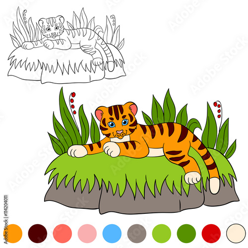 Fototapeta Naklejka Na Ścianę i Meble -  Coloring page. Color me: tiger. Little cute baby tiger smiles.
