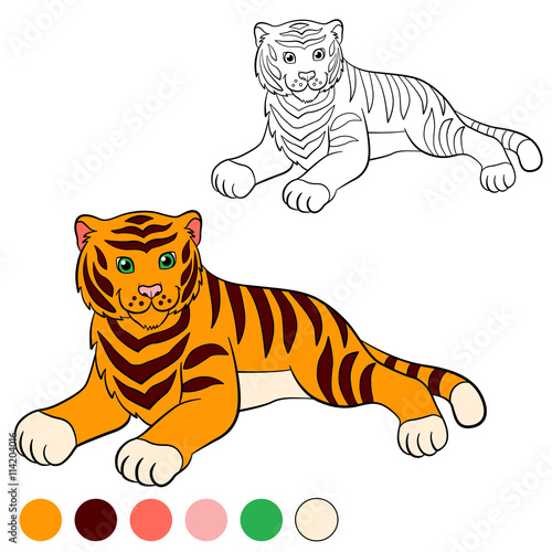 Fototapeta Naklejka Na Ścianę i Meble -  Coloring page. Color me: tiger. Cute tiger smiles.