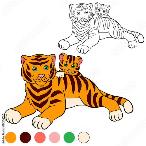 Fototapeta Naklejka Na Ścianę i Meble -  Coloring page. Color me: tiger. Mother tiger with her little cute baby tiger.