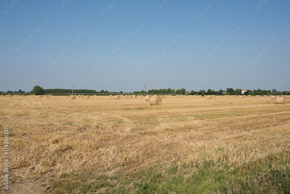 bale of hay