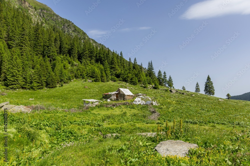 Abandoned wooden sheepfold inCarpathian Mountains near the forest