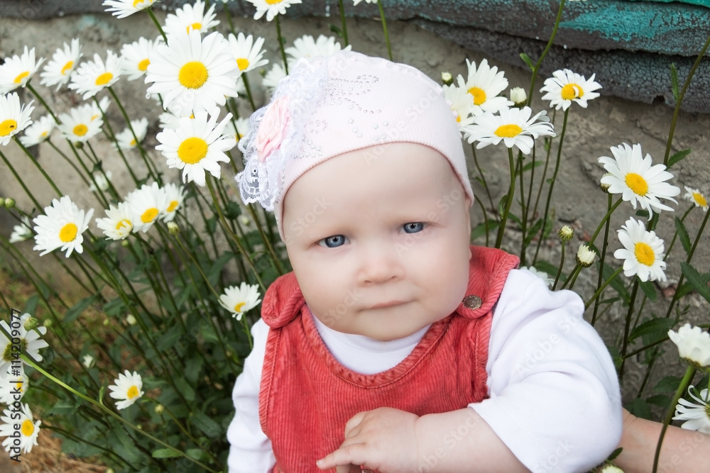 baby in the garden background of camomiles baby in the garden background of camomiles