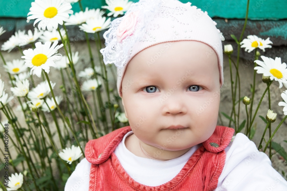 baby in the garden background of camomiles baby in the garden background of camomiles