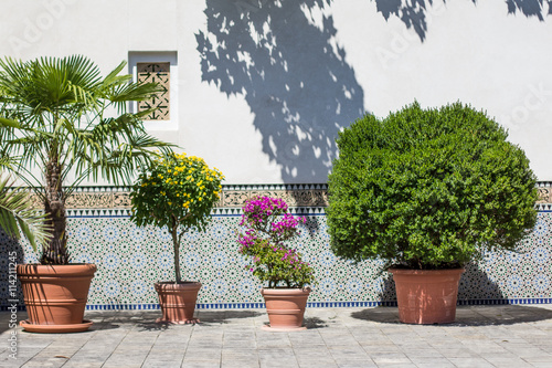 Oriental garden - court of morrocan house