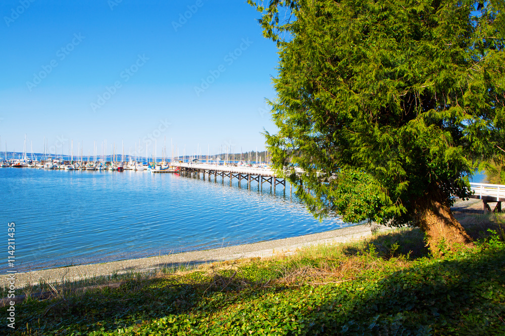 Obraz premium Mystery Bay, Marrowstone island. Olympic Peninsula. Washington State.