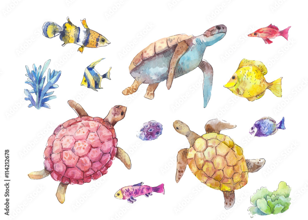 Fototapeta premium Set of sea turtles, marine fish and algae watercolor