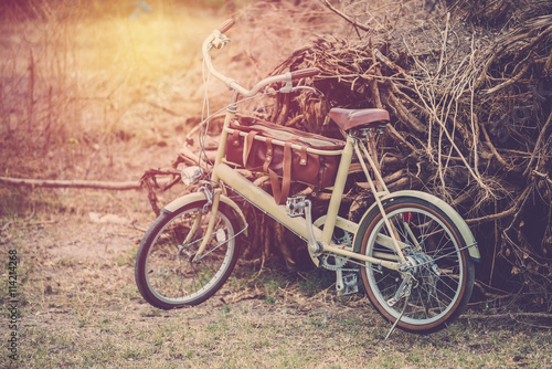 Vintage bicycle